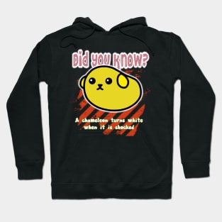 Did you know? 15 Hoodie